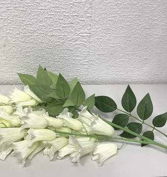 +Колокольчик