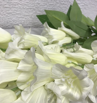 +Колокольчик