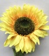 +Подсолнух