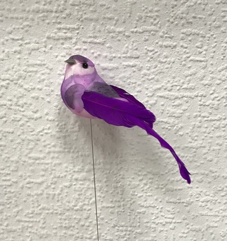 +Птица с перь. хвост.  (12)