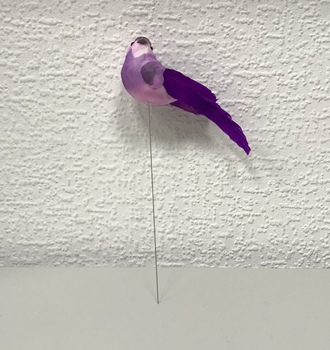 +Птица с перь. хвост.  (12)