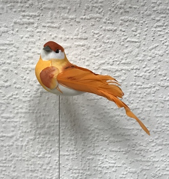 +Птица с перь. хвост.  (12)