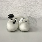 Голуби большие пара (6 пар)