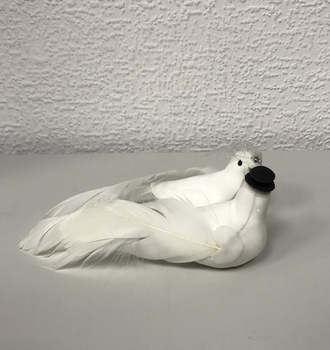 Голуби большие пара (6 пар)