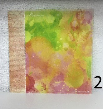 СЛ Бумага для скрапбукинга 29,5*29,5см 180г/м