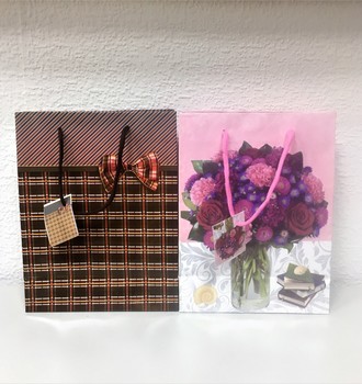 +Сумочка бум. 12(18*23*8)