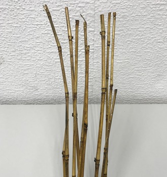 +Бамбук тонкий (10шт)