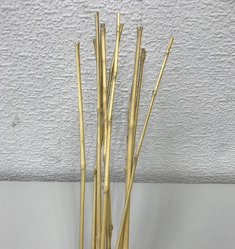 +Бамбук тонкий (10шт)