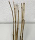 +Бамбук тонкий (10шт)