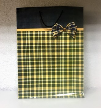 +Сумочка бум. 22 (32*44)