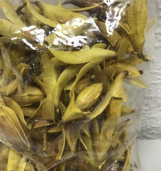 +Колокольчик