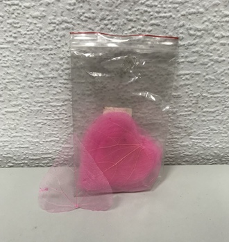 Листья скелет. (50 шт)