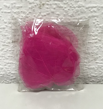 Листья скелет. (50 шт)