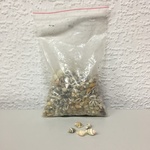 +Ракушки 10  100гр