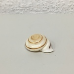 +Ракушки 31 (1шт)