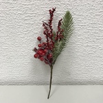 + Встава ветка занеженная