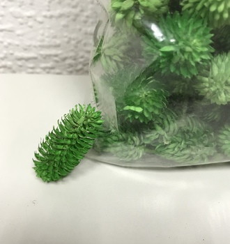 +Колючка "заячий хвостик", 40 гр