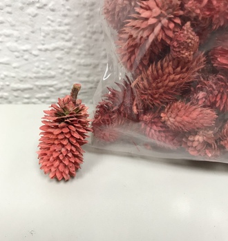 +Колючка "заячий хвостик", 40 гр