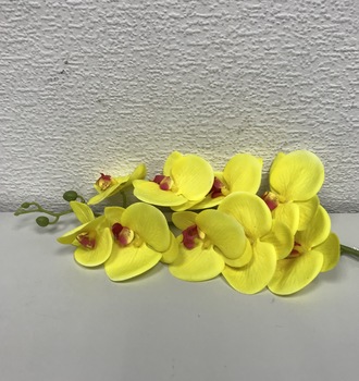 + Орхидея