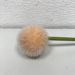 +Цветок Одуванчика