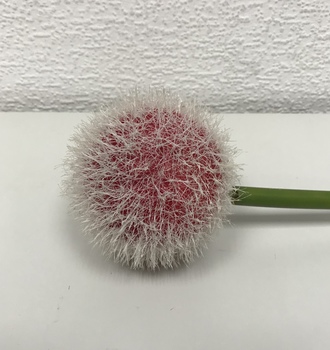 +Цветок Одуванчика