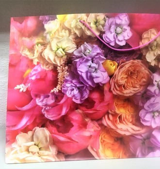 Сумочка бум. 28 (64*40*25см) гориз. (С)