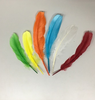 +Перо цветное 18см