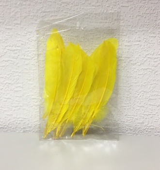 +Перо цветное 18см