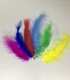 +Перо цветное 7 гр