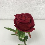 + Роза