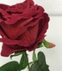 + Роза